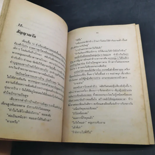 สร้อยทอง - นิมิตร ภูมิถาวร รูปที่ 14