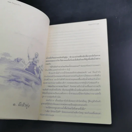 ในทุ่งกว้าง - ถวัลย์ มาศจรัส รูปที่ 13