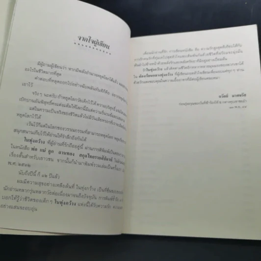 ในทุ่งกว้าง - ถวัลย์ มาศจรัส รูปที่ 11