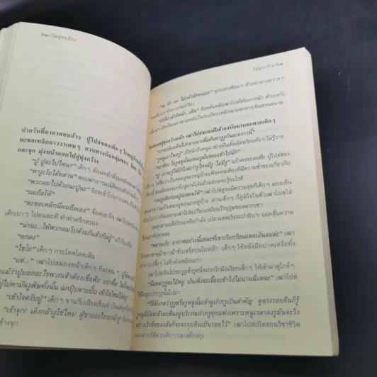 ในทุ่งกว้าง - ถวัลย์ มาศจรัส รูปที่ 14