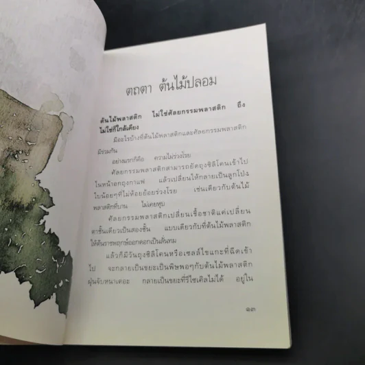 พรวนดินด้วยใจ - สาลินี รูปที่ 13