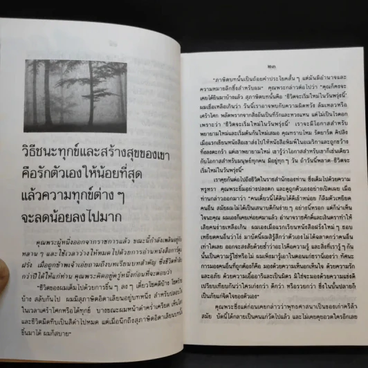 สายลม แสงแดด - วิลาศ มณีวัต รูปที่ 11