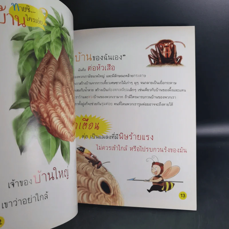 ทายซิบ้านใครเอ่ย รูปที่ 9