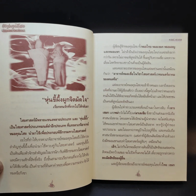 ฝังหุ่นคุณไสย เรียกคนรักกลับมา - ดามภ์ เสาเหม รูปที่ 12