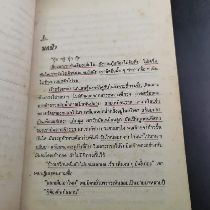 สร้อยทอง - นิมิตร ภูมิถาวร รูปที่ 12