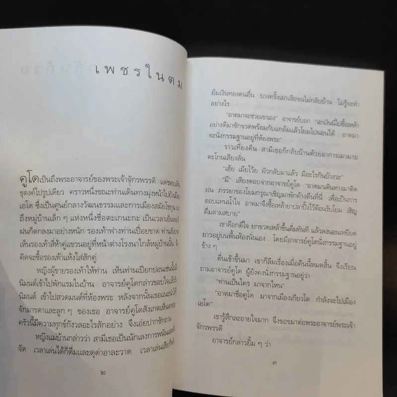 เนื้อติดกระดูก - เสฐียรพงษ์ วรรณปก รูปที่ 10