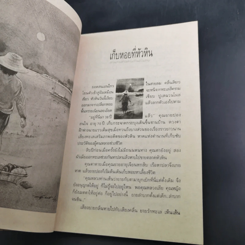 อยากให้เป็นอย่างนี้ทุกวัน - นิรมล เมธีสุวกุล รูปที่ 13