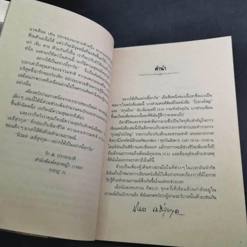 อยากให้เป็นอย่างนี้ทุกวัน - นิรมล เมธีสุวกุล รูปที่ 11