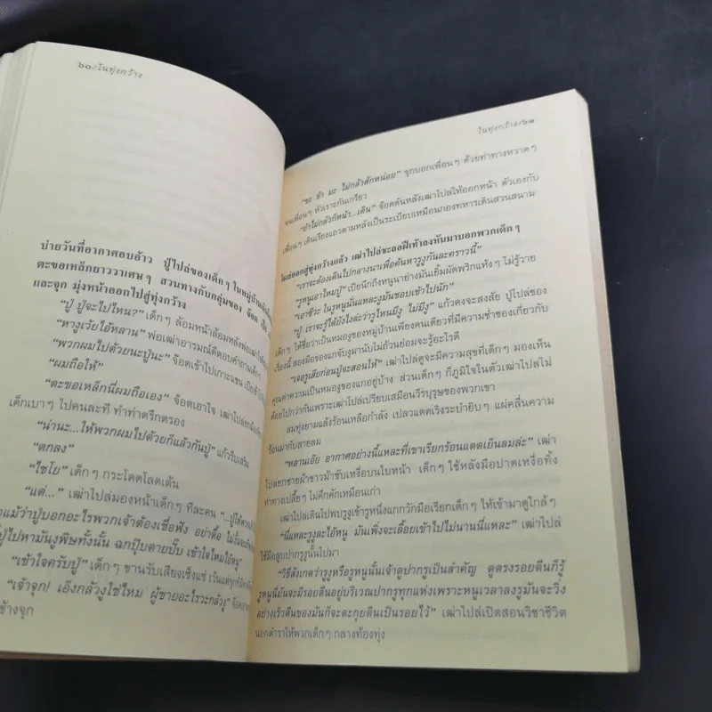 ในทุ่งกว้าง - ถวัลย์ มาศจรัส รูปที่ 14
