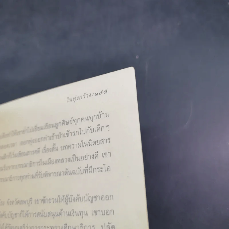 ในทุ่งกว้าง - ถวัลย์ มาศจรัส รูปที่ 16