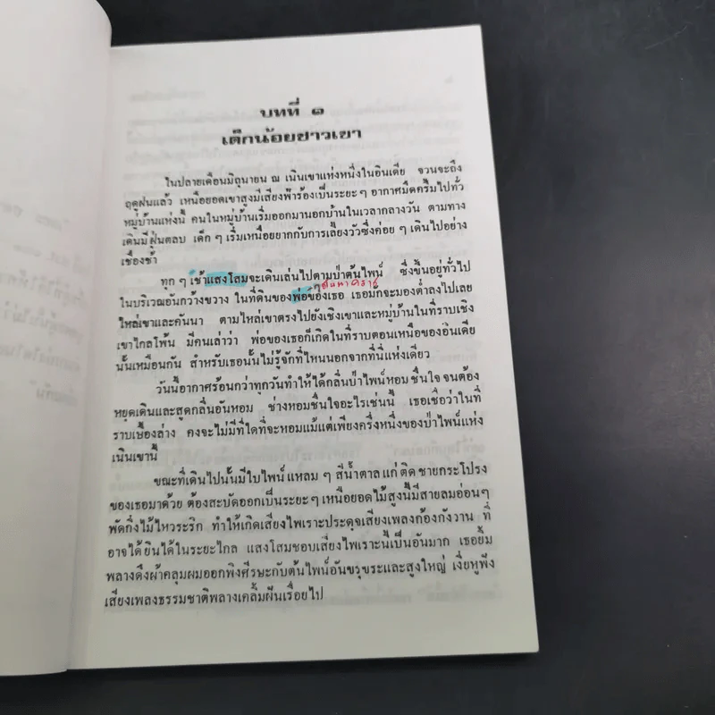 แสงโสม - ดร.ลมุล รัตตากร รูปที่ 11