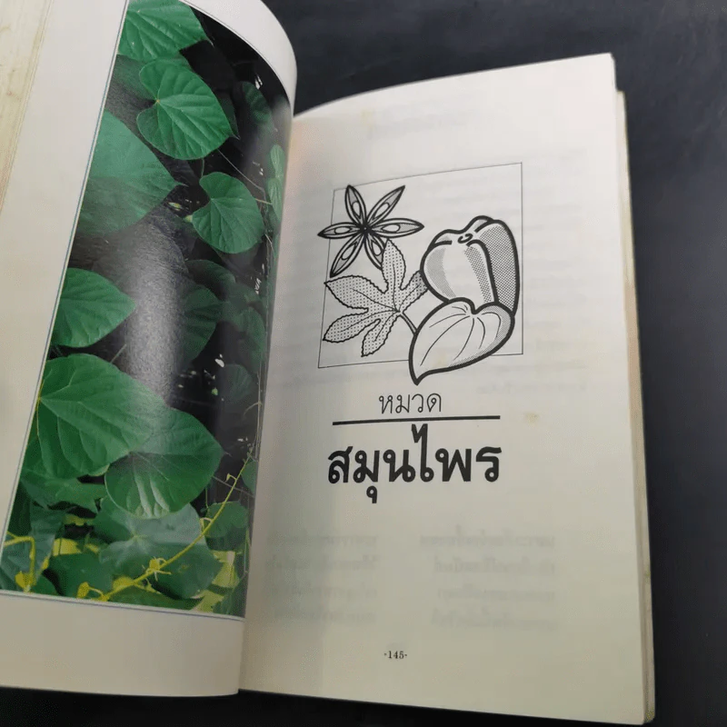 ยาน่ารู้ เล่ม 2 รูปที่ 20