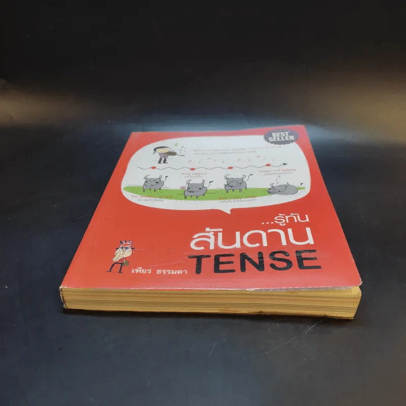 รู้ทันสันดาน Tense - เฑียร ธรรมดา รูปที่ 4