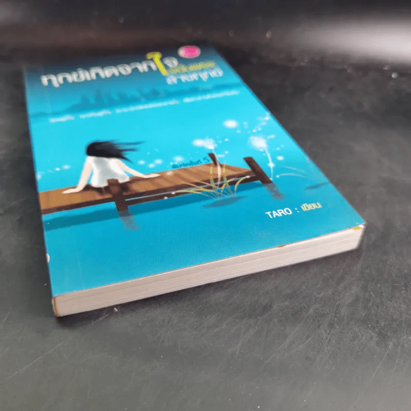 🔴ทุกข์เกิดจากใจนั่นแหละล้างทุกข์ - Taro รูปที่ 5