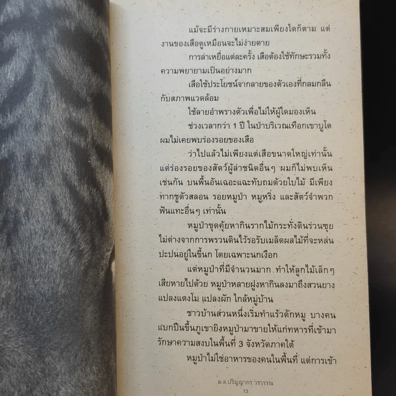เสือสอน - ม.ล.ปริญญากร วรวรรณ รูปที่ 10