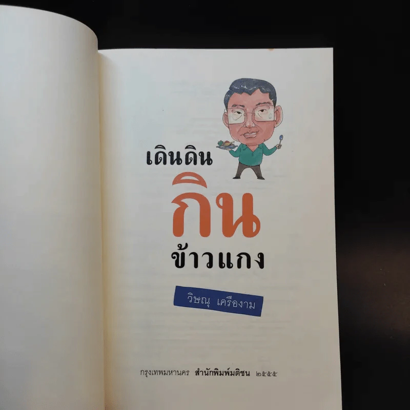 เดินดินกินข้าวแกง - วิษณุ เครืองาม รูปที่ 8