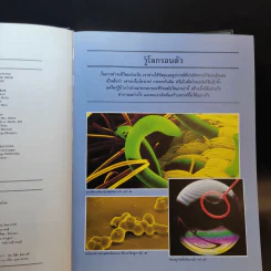 รีดเดอร์ส ไดเจสท์ รู้รอบตอบได้ รูปที่ 12