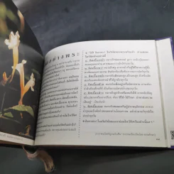 ชีวิตงาม รวมเล่ม 1-2-3 รูปที่ 16