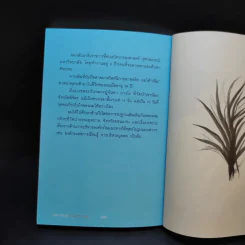 จุดตะเกียงดีกว่าด่าความมืด - ดร.วรภัทร์ ภู่เจริญ รูปที่ 14