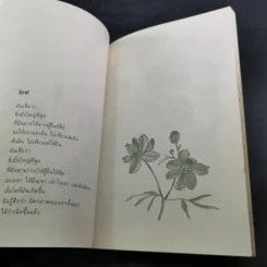 ค้นหาตัวเอง - นวลศิริ เปาโลหิต รูปที่ 11