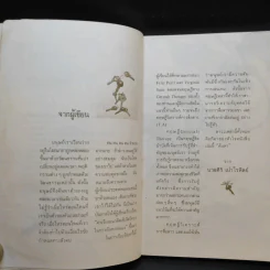 ค้นหาตัวเอง - นวลศิริ เปาโลหิต รูปที่ 10