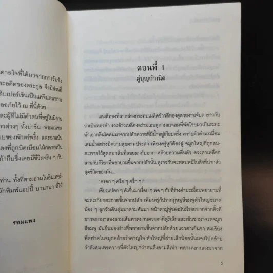 ลูกทุ่งโมดิฟายด์ - รอมแพง รูปที่ 10