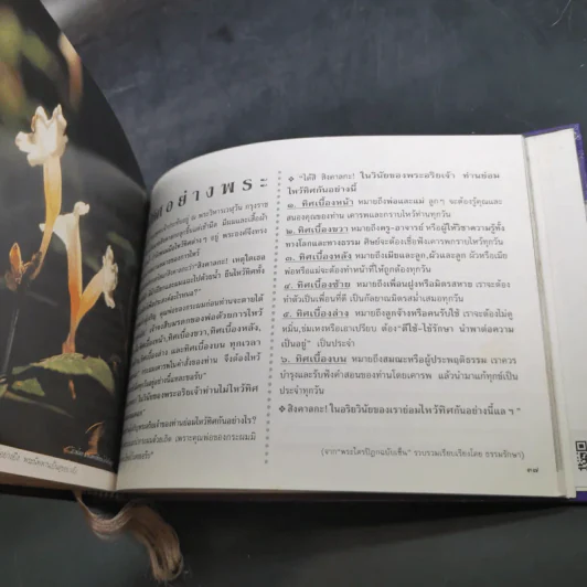 ชีวิตงาม รวมเล่ม 1-2-3 รูปที่ 16