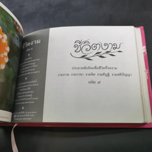 ชีวิตงาม รวมเล่ม 7-8-9 รูปที่ 17