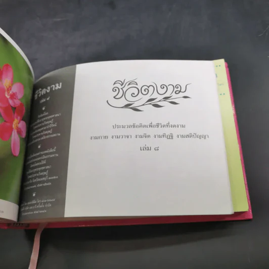 ชีวิตงาม รวมเล่ม 7-8-9 รูปที่ 13