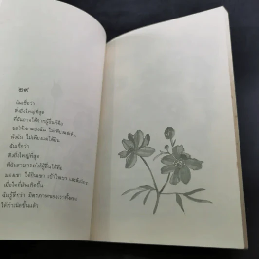 ค้นหาตัวเอง - นวลศิริ เปาโลหิต รูปที่ 11