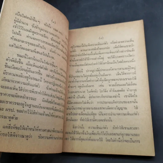 ของฝากจากหลวงตา - แพรเยื่อไม้ รูปที่ 10
