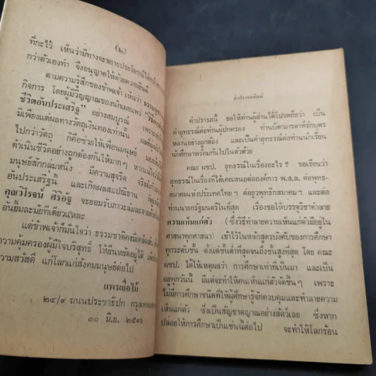 ของฝากจากหลวงตา - แพรเยื่อไม้ รูปที่ 9