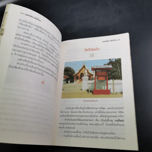 อนุสรณ์สถานสัตว์ไทย - เจริญ ตันมหาพราน รูปที่ 10