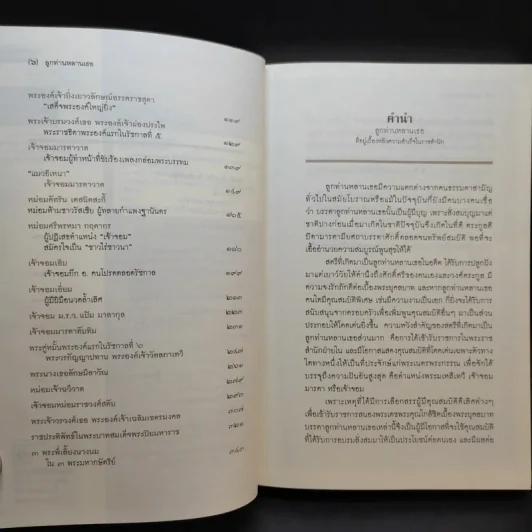 ลูกท่านหลานเธอ - ศันสนีย์ วีระศิลป์ชัย รูปที่ 10
