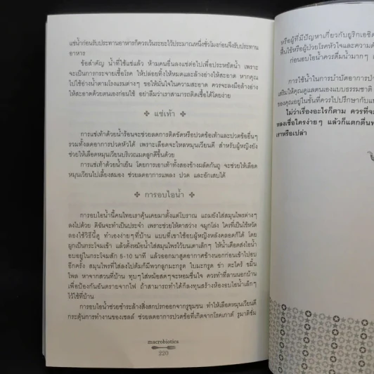 แมคโครไบโอติกส์ Macro Biotics - สิทรา พรรณสมบูรณ์ รูปที่ 13