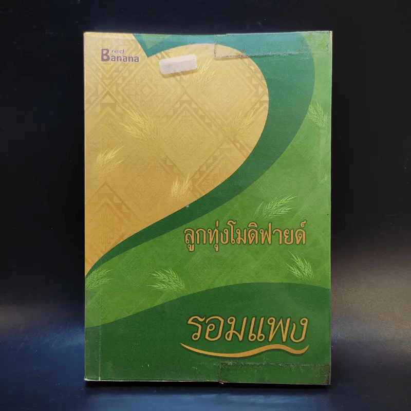 ลูกทุ่งโมดิฟายด์ - รอมแพง รูปที่ 1