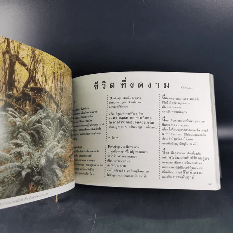 ชีวิตงาม (อนุสรณ์คุณแม่พยอม โลหิตกุล) รูปที่ 14
