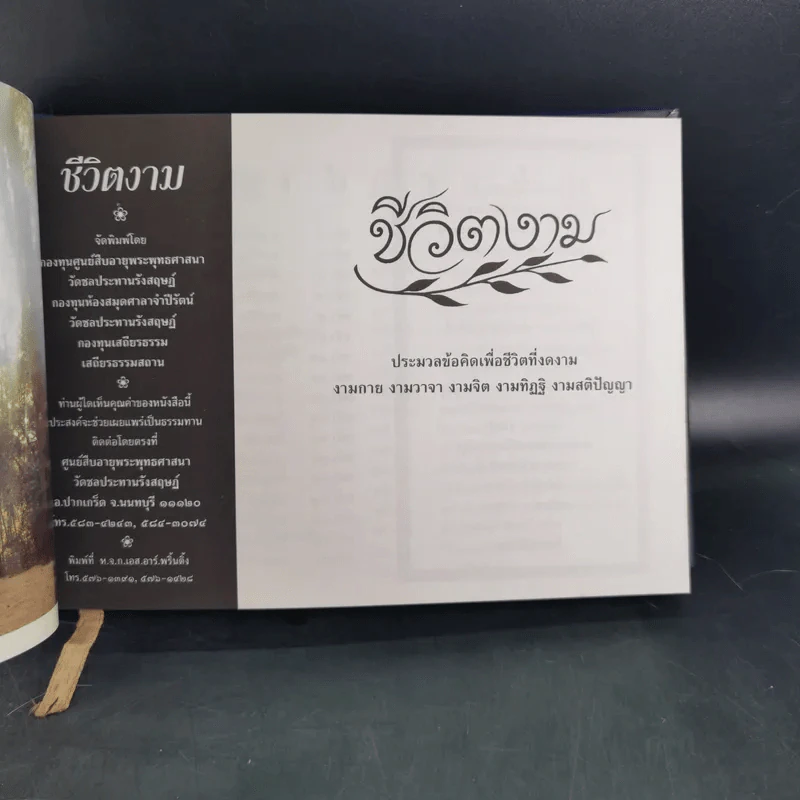 ชีวิตงาม (อนุสรณ์คุณแม่พยอม โลหิตกุล) รูปที่ 10