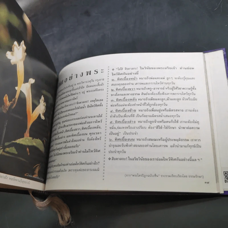 ชีวิตงาม รวมเล่ม 1-2-3 รูปที่ 16