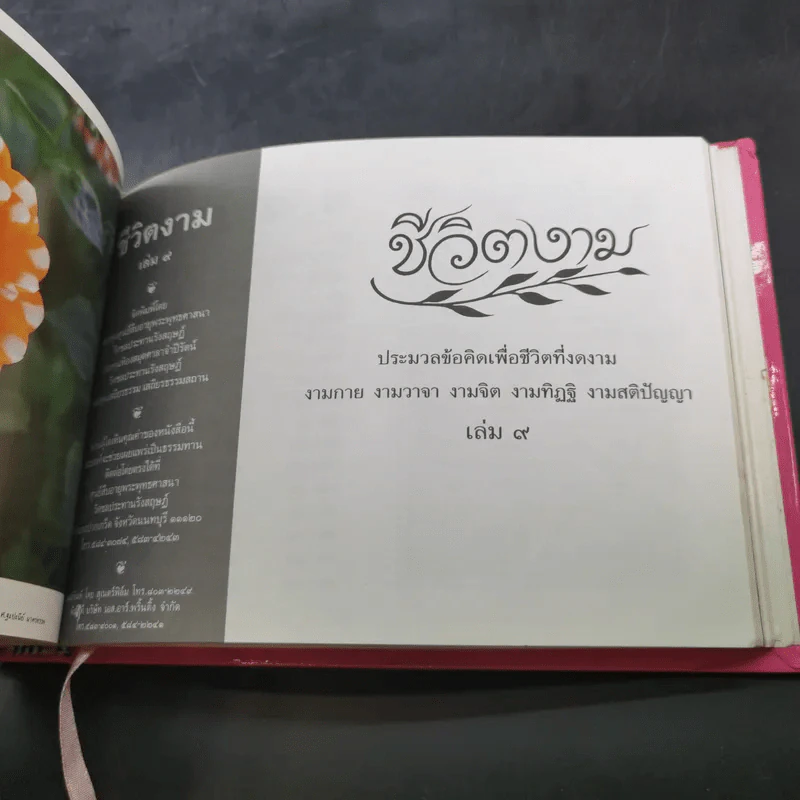 ชีวิตงาม รวมเล่ม 7-8-9 รูปที่ 17