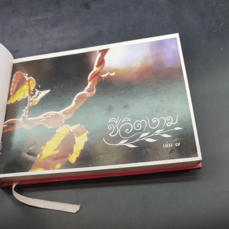 ชีวิตงาม รวมเล่ม 7-8-9 รูปที่ 8
