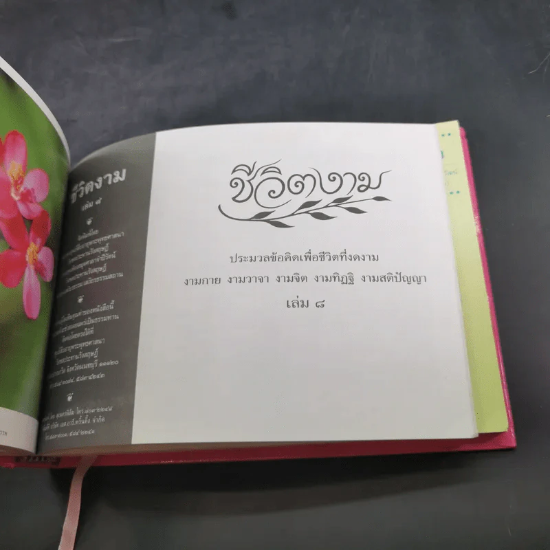 ชีวิตงาม รวมเล่ม 7-8-9 รูปที่ 13