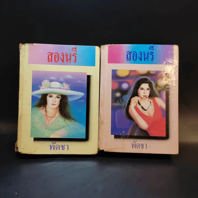 สองนรี 2 เล่มจบ - พัดชา รูปที่ 1