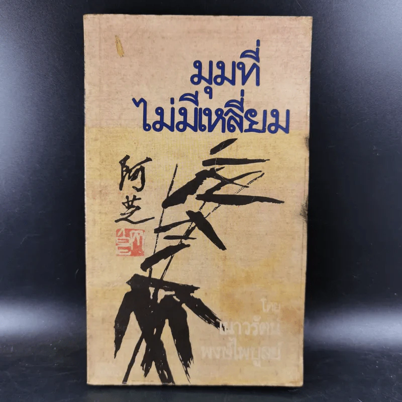 มุมที่ไม่มีเหลี่ยม - เนาวรัตน์ พงษ์ไพบูลย์ รูปที่ 1