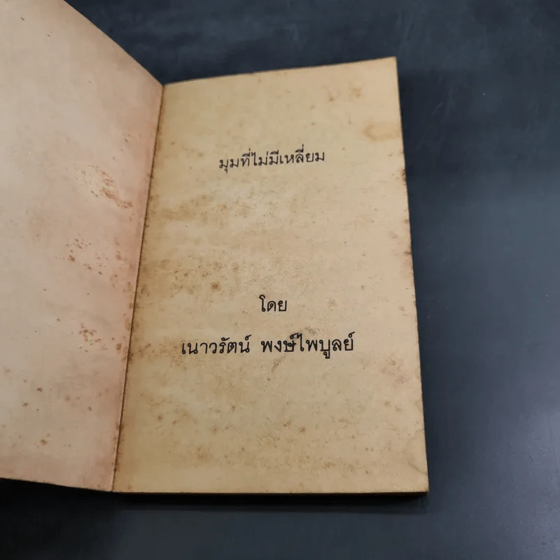 มุมที่ไม่มีเหลี่ยม - เนาวรัตน์ พงษ์ไพบูลย์ รูปที่ 6