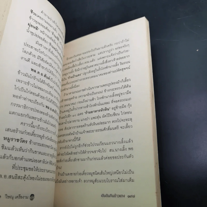 เดินดินกินข้าวแกง - วิษณุ เครืองาม รูปที่ 14