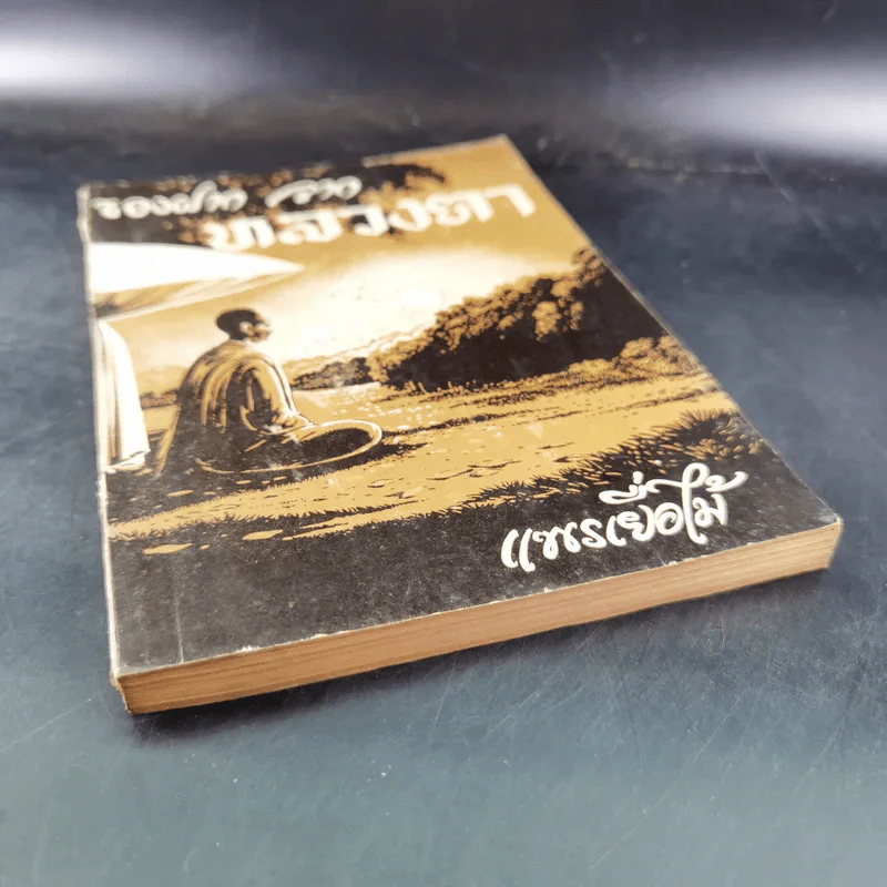 ของฝากจากหลวงตา - แพรเยื่อไม้ รูปที่ 4