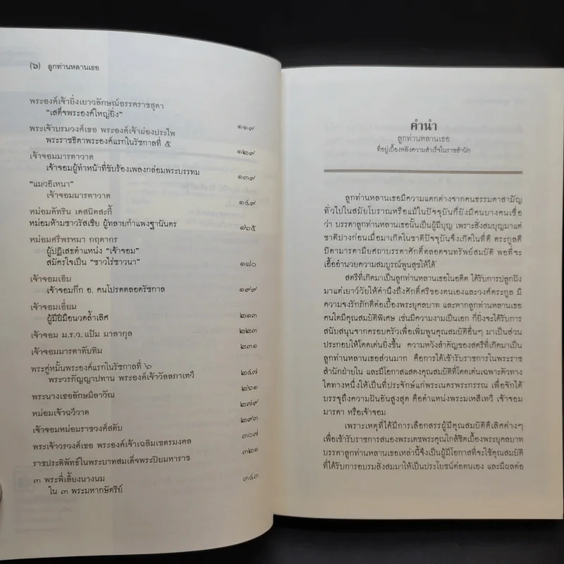 ลูกท่านหลานเธอ - ศันสนีย์ วีระศิลป์ชัย รูปที่ 10