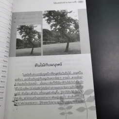 ไม้มงคลกับตำนานความเชื่อ - ณรงค์ มูลคำ รูปที่ 15