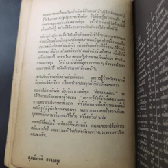 ท่องแดนมังกร - ศุภเกียรติ ธารณกุล รูปที่ 10